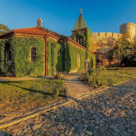 Downtown Daire Belgrad